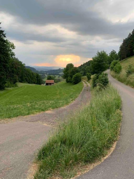 Charming Alps Apartment Perfect For Walk/Cycle/Ski Eschenbach Exterior photo
